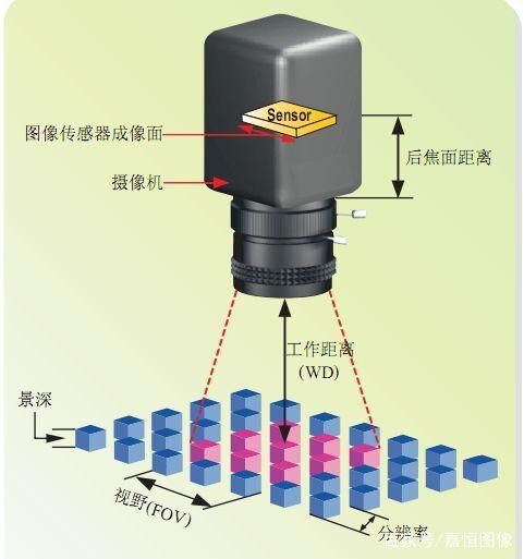 FH至尊(中国)有限公司官网